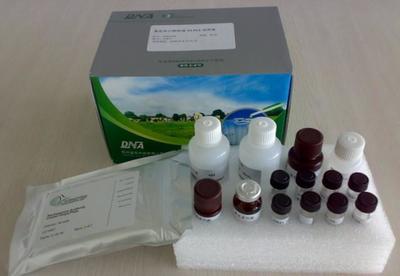 【小鼠凝血酶抗凝血酶复合物(TAT)ELISA Kit】价格_厂家_图片 -